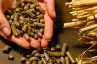 free Wold Newton biomass boiler quotes